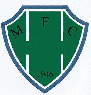 ESCUDOS TIMES DE ITABIRA